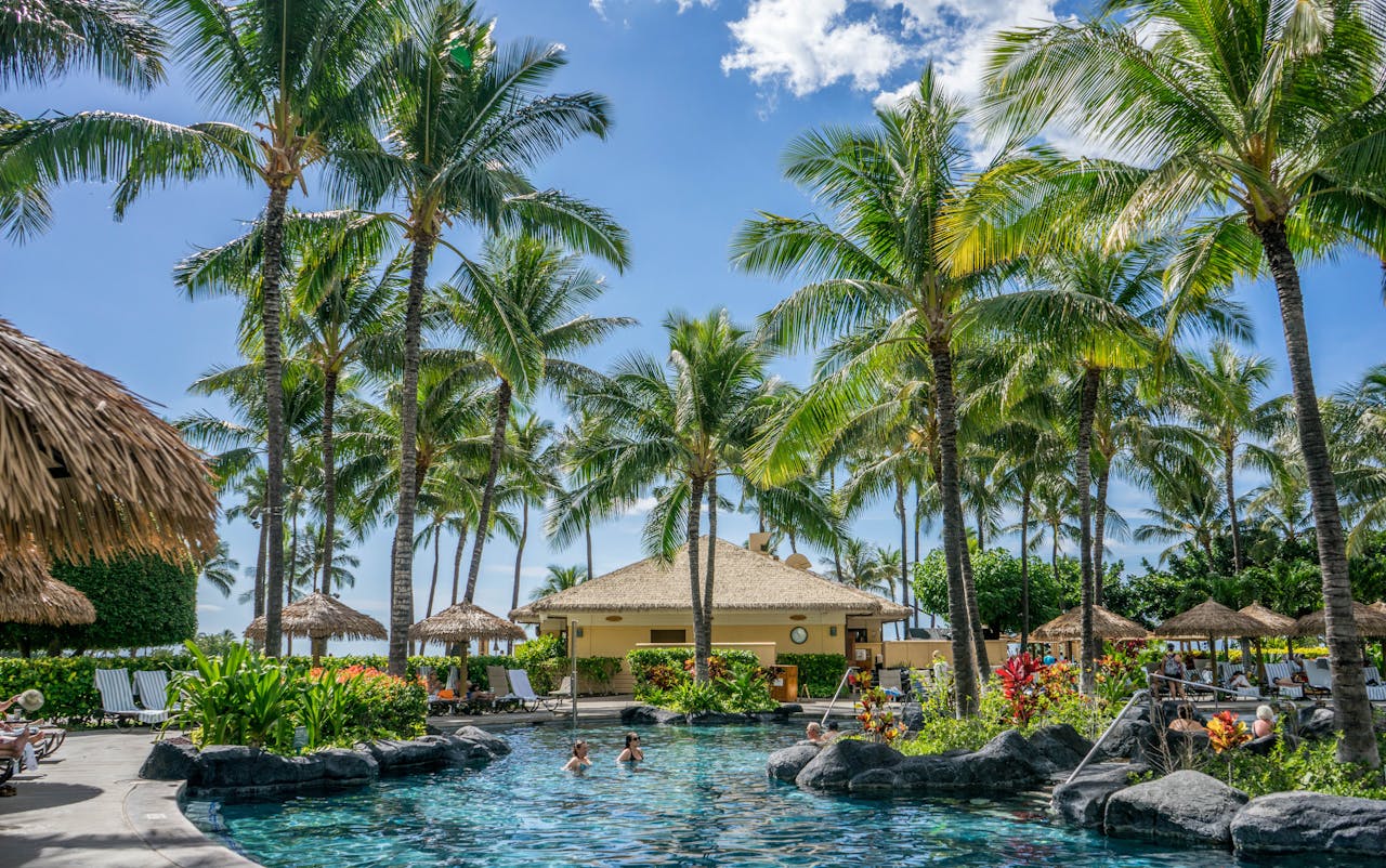 Relaxing tropical resort scene with palm trees, swimming pool, and clear blue sky.