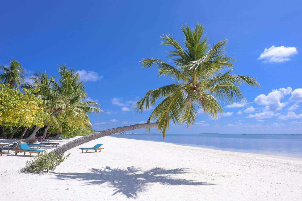 Breathtaking tropical beach scene in the Maldives with palm trees and serene blue waters.